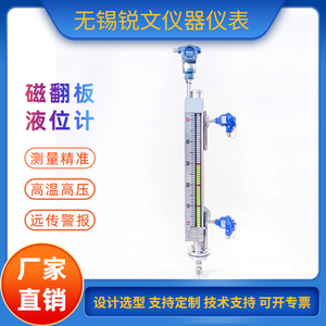 抽真空型磁性液位計帶遠傳帶開關(guān)