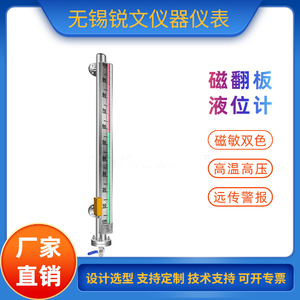 磁敏雙色液位計